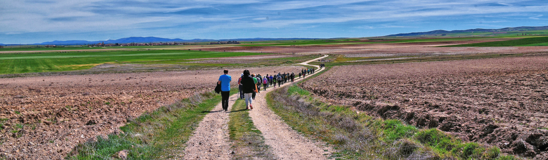 Cruce de caminos